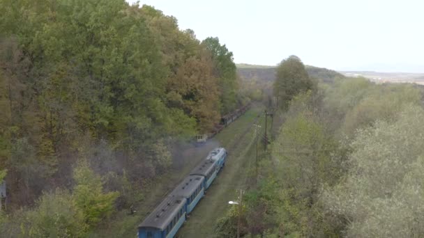 Aerial View Train Rides Railroad Drone Flight Locomotive Carriages Narrow — Stockvideo