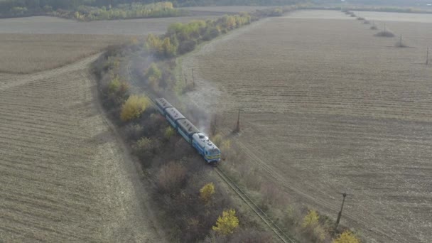 Aerial View Train Rides Railroad Drone Flight Locomotive Carriages Narrow — Video