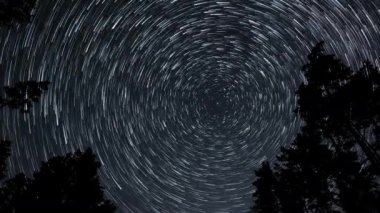 Kuyrukluyıldız şeklindeki yıldızların gece gökyüzünde orman boyunca zaman geçişi. Yıldızlar bir kutup yıldızının etrafında döner. Ultra 4K