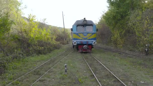 Locomotive Moving Narrow Gauge Railway Filmed Drone — Wideo stockowe
