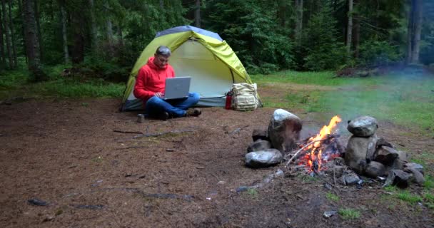 Man Works Laptop Tourist Camp Beautiful Forest Concept Freelancing Digital — Wideo stockowe