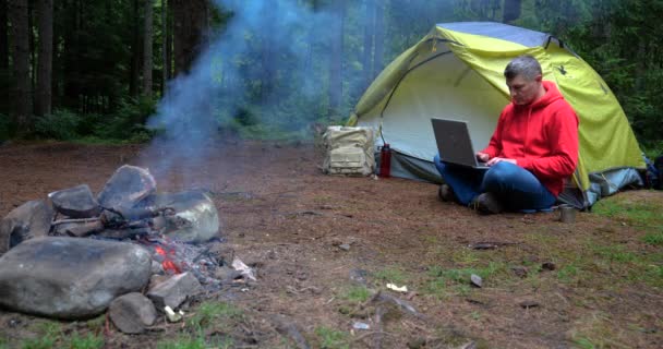 Man Works Laptop Tourist Camp Beautiful Forest Concept Freelancing Digital — Stockvideo