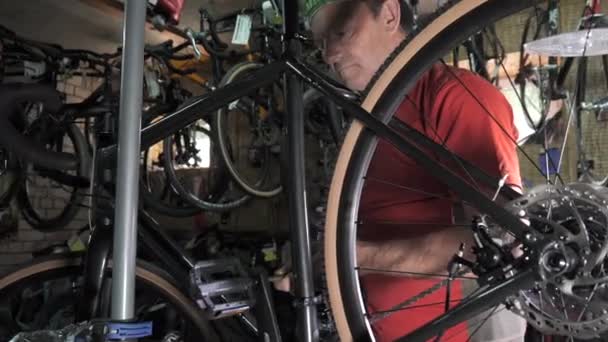 Bike Mechanic Man Repairs Bicycle Bicycle Repair Shop Bike Maintenance — Wideo stockowe