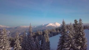 Dağlardaki kış ormanlarından uçarak. Doğanın güzel manzarasının havadan görünüşü. 4K