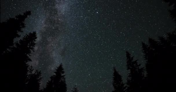 Timelapse Van Het Melkwegstelsel Beweegt Zich Boven Silhouetten Van Bomen — Stockvideo