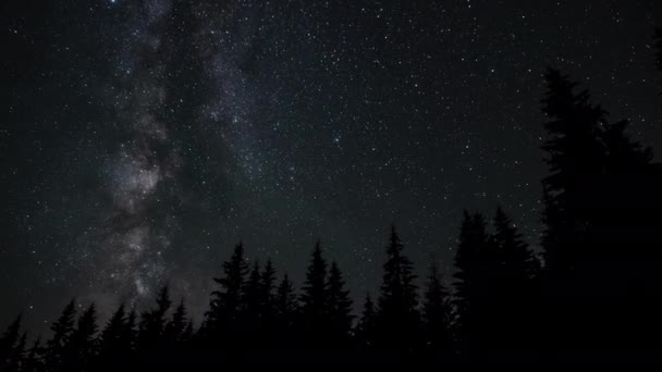 Timelapse Galaktyki Drogi Mlecznej Przesuwa Się Ponad Sylwetki Drzew Gwiaździste — Wideo stockowe