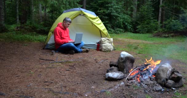 Man Works Laptop Tourist Camp Beautiful Forest Concept Freelancing Digital — Stockvideo