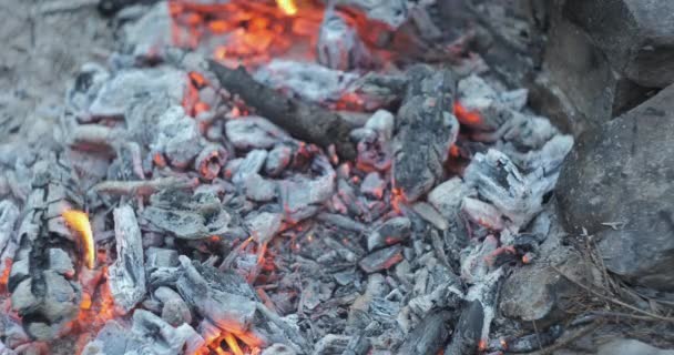 Preparing Coffee Coals Coffee Maker Brewing Coffee Campfire Nature Close — Stock Video