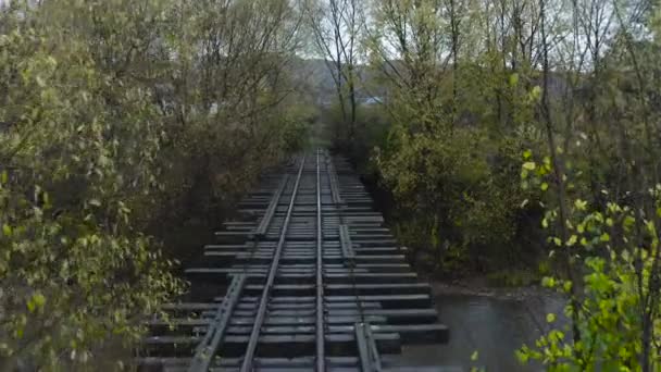 Old Railway Bridge River Drone Flight Bridge Old Narrow Gauge — Video Stock