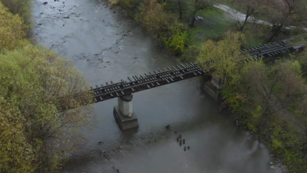 Old Railway Bridge River Drone Flight Bridge Old Narrow Gauge — Wideo stockowe