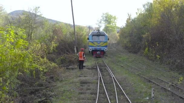 Locomotive Moving Narrow Gauge Railway Filmed Drone — Stok video