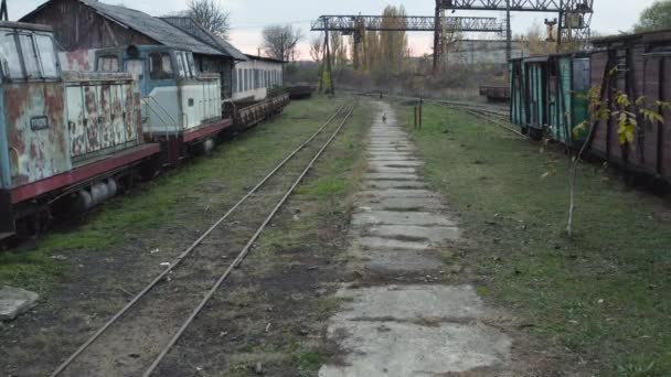 Aerial View Old Rusty Locomotives Wagons Narrow Gauge Railway Abandoned — Stock video