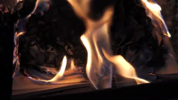 Open Book Fire Big Bright Flame Burning Paper Old Publication — Stok video