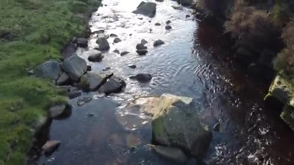 Snake Woodland Peak District Frühling — Stockvideo