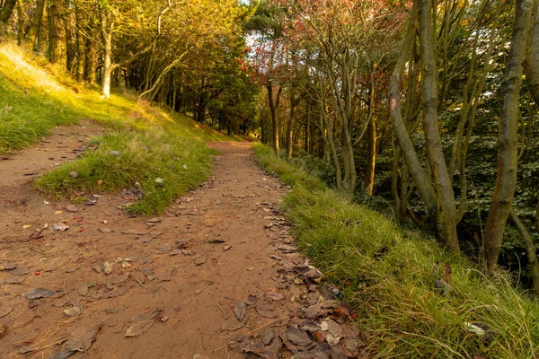 Mam Tor National Park Peak District Derbyshire Reino Unido Caminando — Foto de Stock
