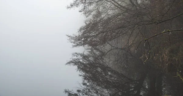 Nevoeiro Matutino Anglli Parque Junto Lago Reserva Natural São Chade — Fotografia de Stock