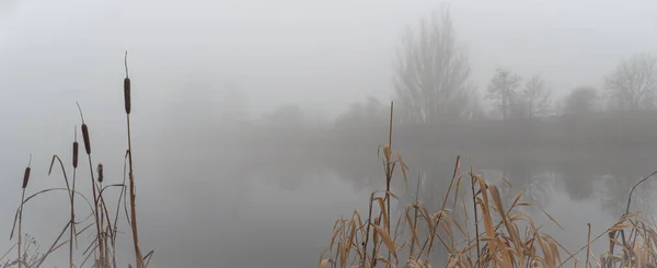 Brouillard Matinal Anglli Dans Parc Bord Lac Réserve Naturelle Tchad — Photo