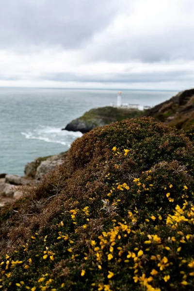 Phare South Stack Sur Une Petite Île Large Côte Nord — Photo