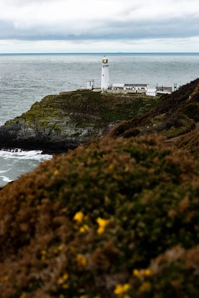 South Stack Lighthouse Een Klein Eiland Voor Noordwestkust Van Holy — Stockfoto