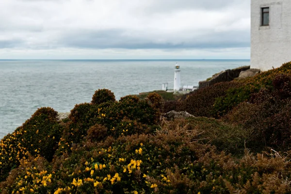 South Stack Fyr Liten Utanför Nordvästra Kusten Holy Island Anglesey — Stockfoto