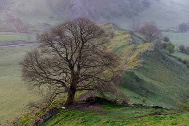 Chrome Hill 'de gün doğumu Ulusal Park Tepesi Bölgesi, İngiltere 17.04.2022.