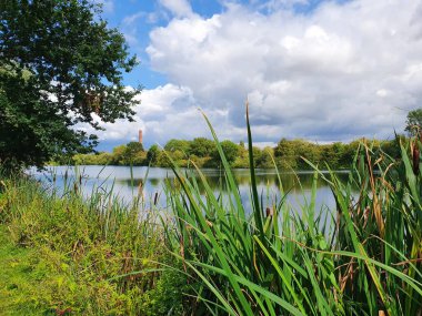 İngiltere 'de Burton Otomobil Çukuru adlı gölü olan küçük bir park..