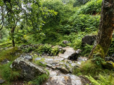 Cader Idris mountain with lake near the town of Dolgellau, in National Park Snowdonia in Wales, misty morning 2022.