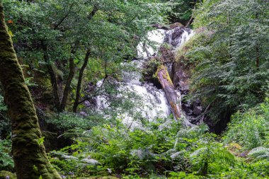 Waterfalls along the way while climbing the hill Penygader (Dolgellau)Cadair Idris, National Park Snowdonia in Wales, UK 2022.