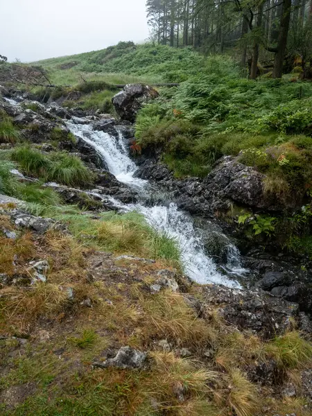 Waterfalls Way While Climbing Hill Penygader Dolgellau Cadair Idris National — Foto de Stock