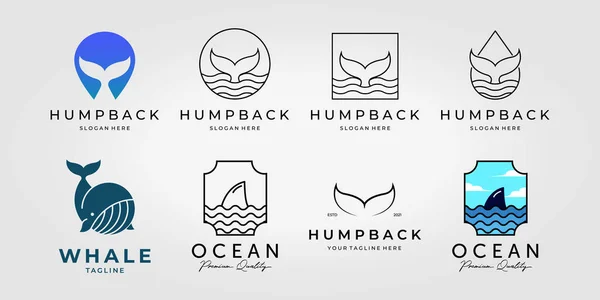 Zestaw Zestaw Humpback Whale Ogon Wektor Logo Projekt Opakowania Ilustracja — Wektor stockowy