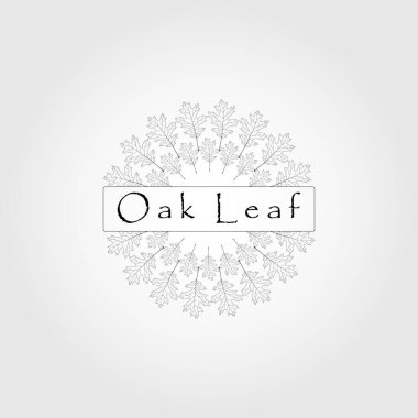Oak logo tasarım şablonu, vektör. Meşe yaprağı çizgisi sanat logosu