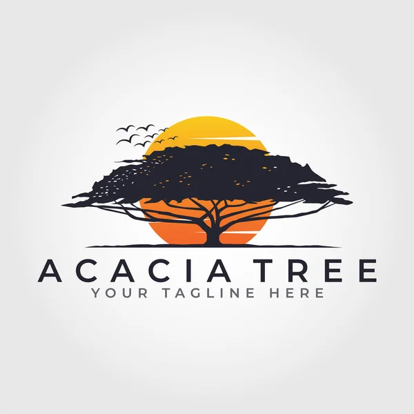 Coucher Soleil Lever Soleil Dans Conception Logo Forêt Acacia Arbre — Image vectorielle