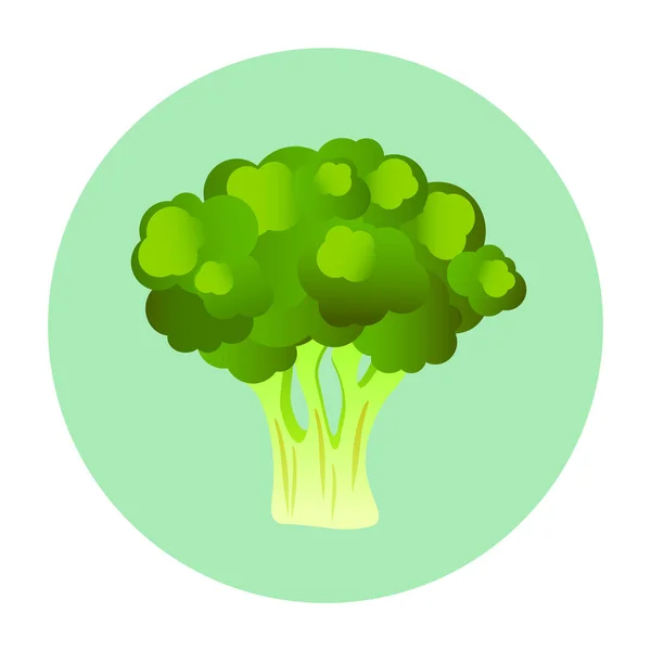 Brócoli Verde Fresco Círculo Verde Pálido Fondo Blanco — Vector de stock