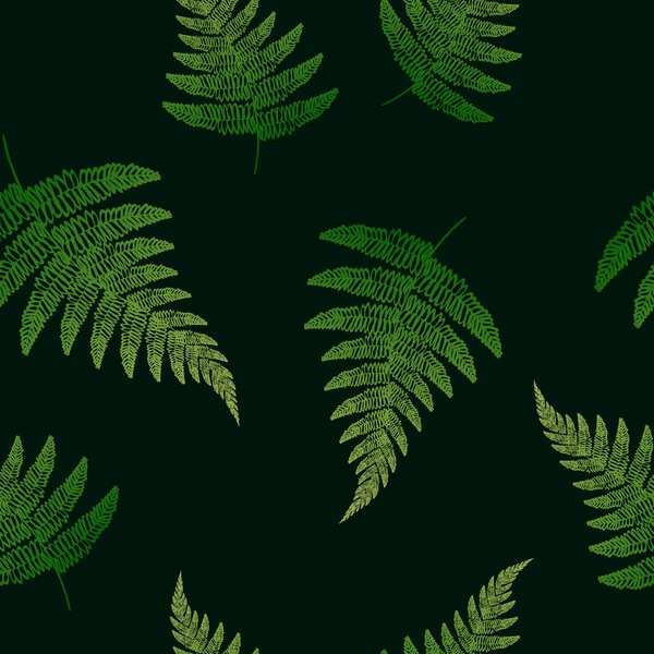 Siluetas Hoja Helecho Patrón Natural Verano Plantas Verdes Vector Ilustración — Archivo Imágenes Vectoriales