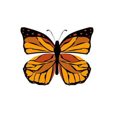 Beyaz arka planda izole edilmiş kral kelebeği. Turuncu kanatlı Danaus pleksippus. Limenitis arşivleri. Danainae.