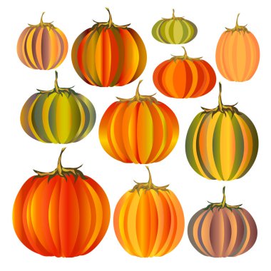 Kabak koleksiyonu beyaz arka planda izole edildi. Şükran Günü için sebzeler. Renkli sonbahar seti.