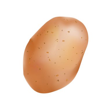 Beyaz arkaplanda izole edilmiş gerçekçilik tarzı vektör çizimi.