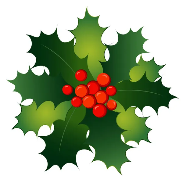 Belle Agrifolium Noël Avec Des Feuilles Vertes Des Baies Rouges — Image vectorielle