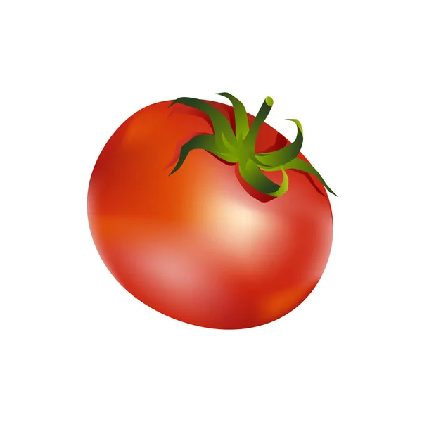 Tomaten Vektor Illustration Isoliert Auf Weißem Hintergrund — Stockvektor