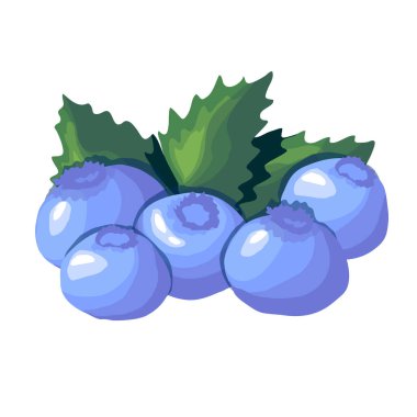 Beyaz arka planda yaprakları olan yabanmersini. Orman mevsimlik yaban mersini vektör çizimi.