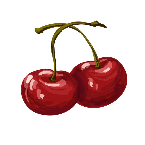 Dwa Pyszne Czerwone Wiśnie Organiczne Izolowane Białym Tle Lato Słodkie — Wektor stockowy