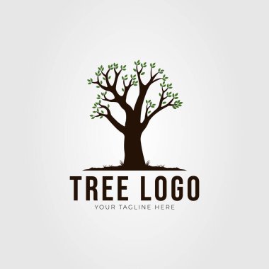 oak tree or nature plant logo vector illustration design