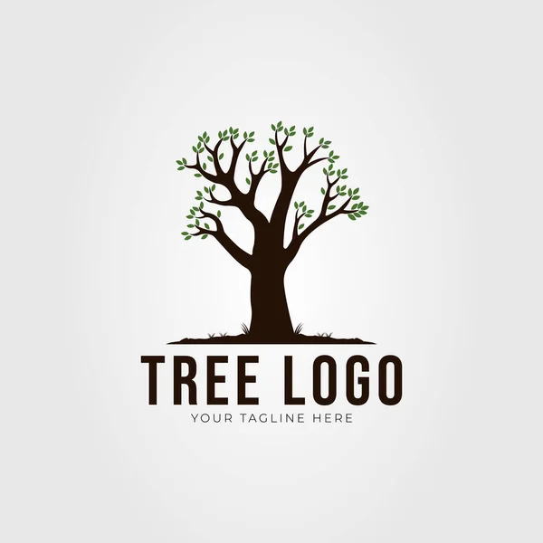 Árbol Roble Naturaleza Planta Logotipo Vector Ilustración Diseño — Vector de stock