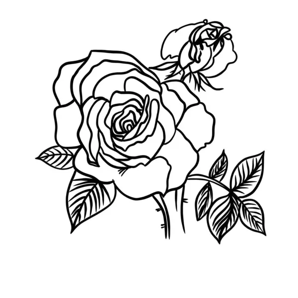 Boceto dibujado vectorial de una rosa, estilo garabato con líneas negras — Vector de stock