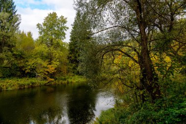 Nehir sonbahar ormanından akıyor. Sonbahar Orman Günü
