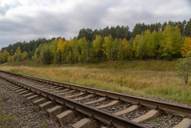 Sonbahar ormanında demiryolu. Sonbahar Orman Günü