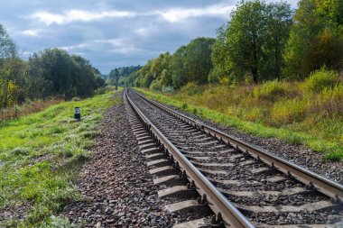 Gündüz vakti sonbahar ormanlarında demiryolu