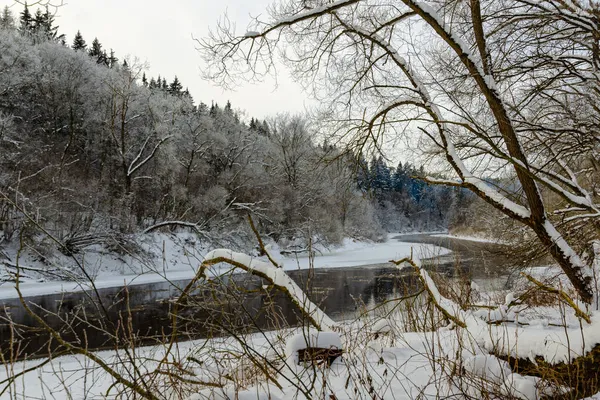 Rivier Bevriest Vorst Die Door Het Winterbos Stroomt Winter Natuur — Stockfoto