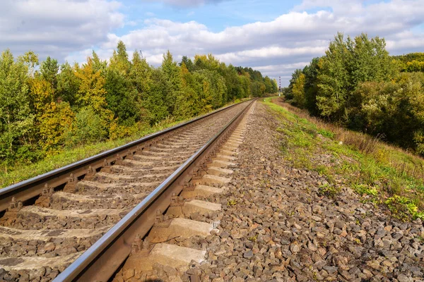 Ferrocarril Bosque Otoño Durante Día Fotos De Stock Sin Royalties Gratis