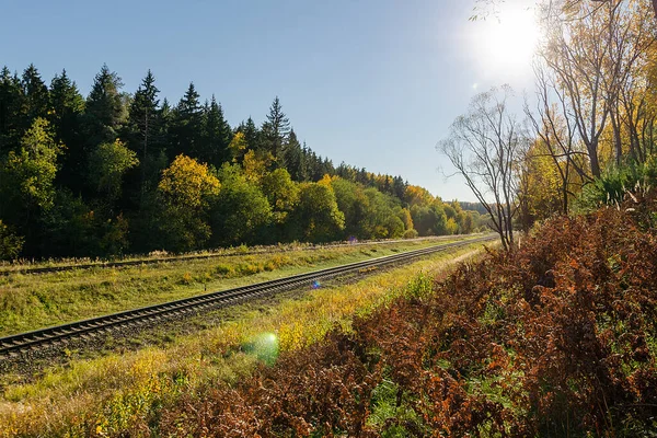 Σιδηρόδρομος Στο Δάσος Του Φθινοπώρου Φθινοπωρινή Μέρα — Φωτογραφία Αρχείου